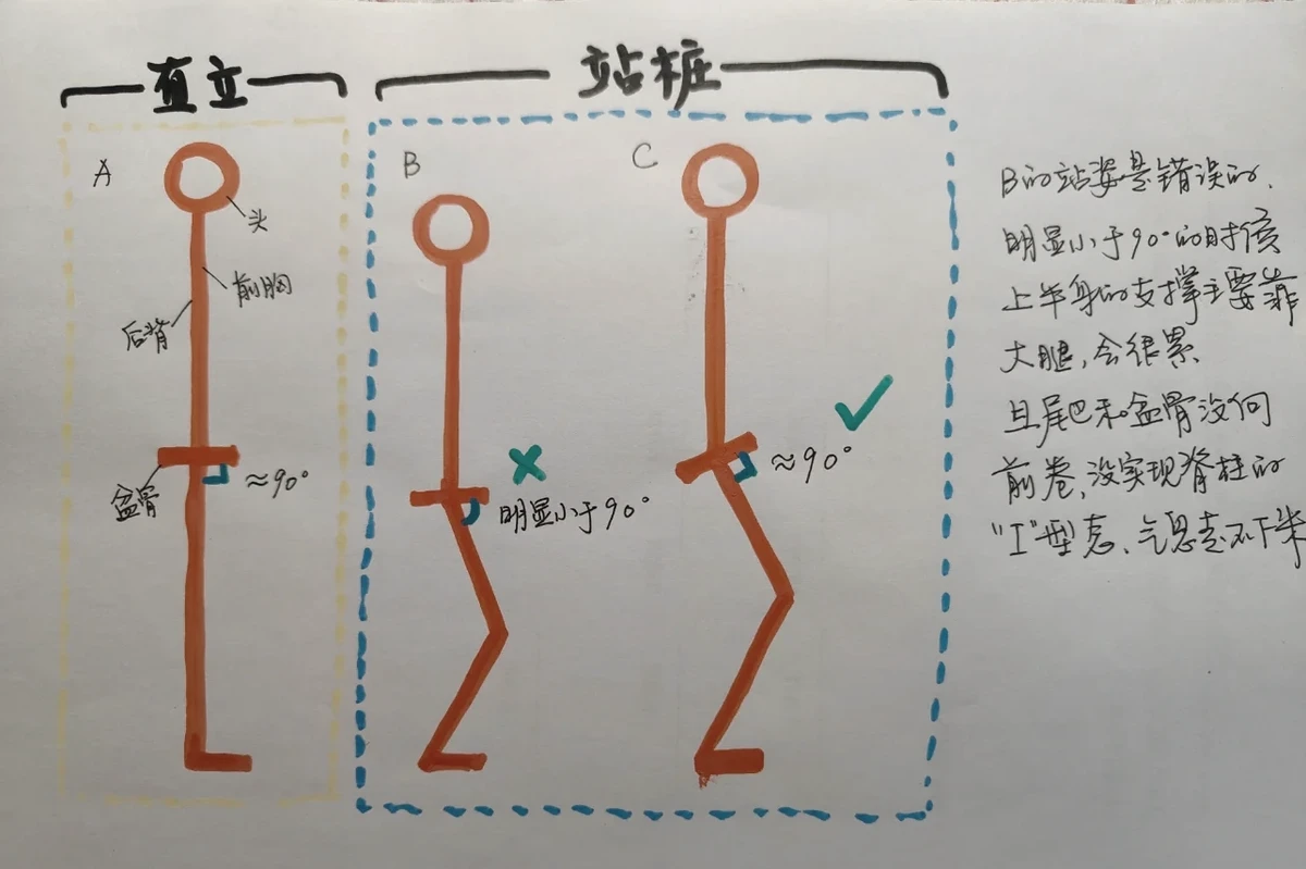 哪里能找到最新的篮球训练和发展策略_2